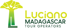 Luciano Madagascar Logo